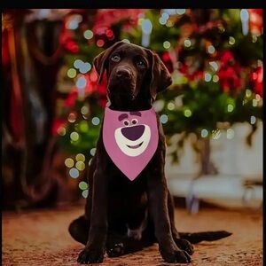 🌟Pick Any 3/$12 Sale Lotso Dog Bandana